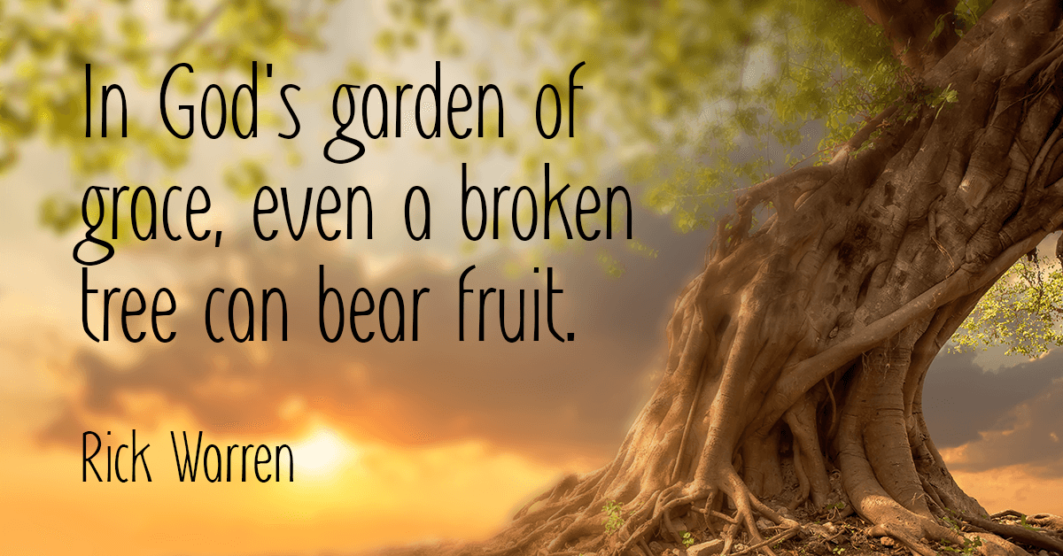 In God's garden of grace, even a broken tree can bear fruit